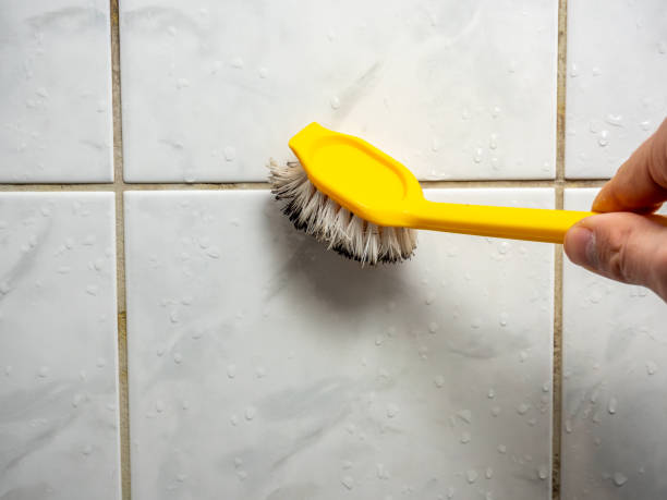 Best Mold Testing and Removal  in Rupert, ID