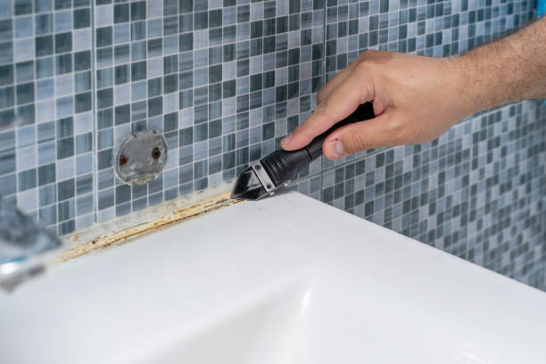 Best Commercial Mold Removal  in Rupert, ID